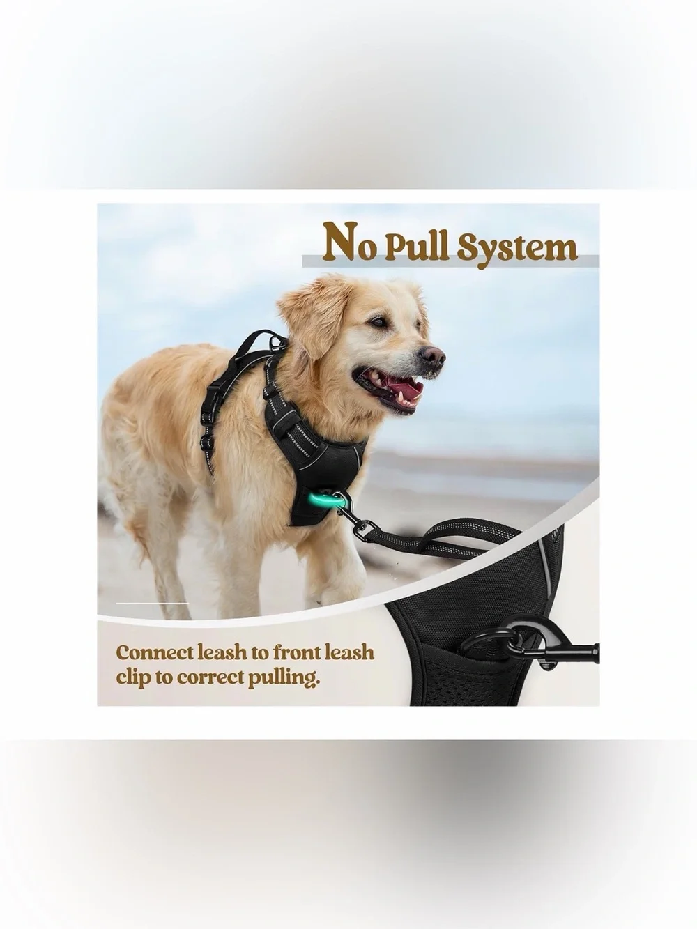 rabbitgoo Dog Harness, No Pull for Small Dogs with 2 Leash Clips